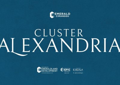 Cluster Alexandria