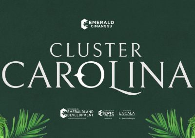 Cluster Carolina